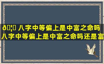 🦟 八字中等偏上是中富之命吗「八字中等偏上是中富之命吗还是富贵」